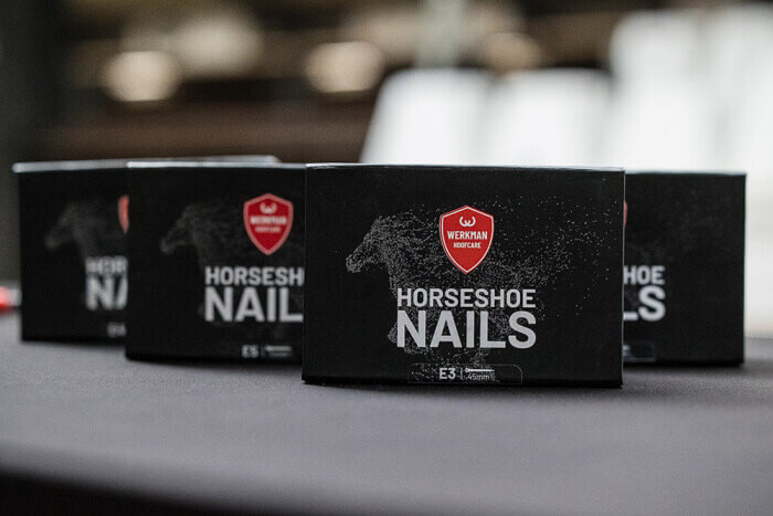 Žeblji Werkman z enostavnim zabijanjem in čistim zaključkom