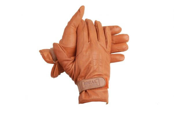 Standard.Gloves.New_-602x400-1.jpg